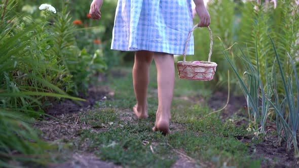 Little Girl Looking for Easter Eggs with Basket in Hand Entertainment for Children Catholic Easter