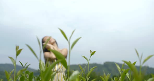 Young Pretty Woman Is Connecting with Nature, Standing in Field in Summer Day, Lifting Hands Up