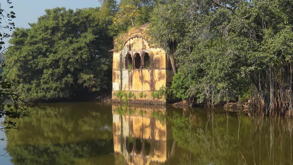 Jungle India, Ranthambore National Park Rajasthan India, Beautiful Nature of India