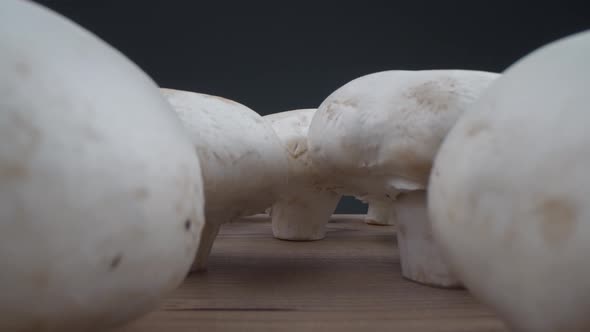 Mushrooms / Videohive