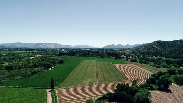 60 fps drone footage of a nice chilean valey landscape full of vineyard