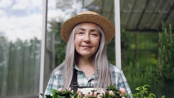 Woman-Pensioner in Hat which Posing on Camera with Box with Flowerpots Outdoors Near Glasshouse