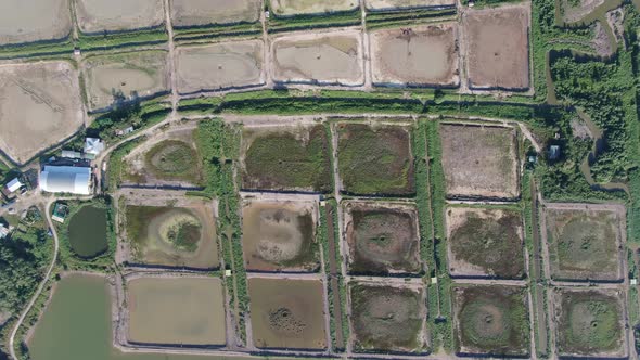 Prawn Fish Farm Aerial