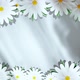 Spinning Chamomiles On Card Stylish White Background - VideoHive Item for Sale