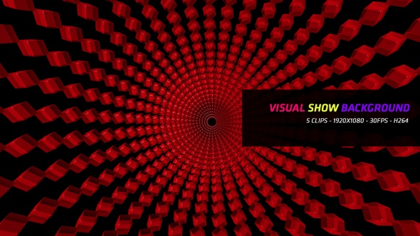 Visual Show Background 5 in 1