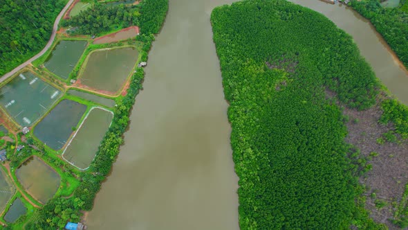 4K Aerial view of mangrove forest and beautiful river bends