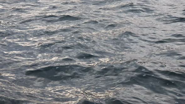 Close up of water surface rippling in wind. Static, high angle