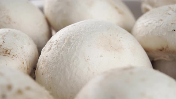 White champignons with textured caps are spinning