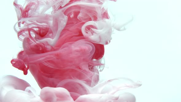 Pink Ink Dropped in Water on White Background, Slow Motion