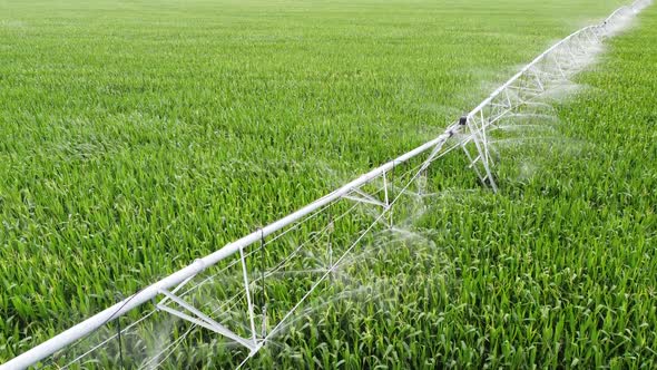 Irrigation Systems in a Corn Field