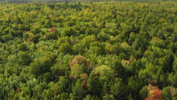 Early fall aerial footage of remote forest in northern Maine cresting over a ridge.