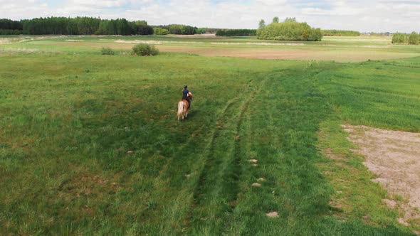 Horse Riders On A Light Brown And A Bay Horse Running Across The Farm Field Meadows