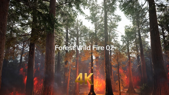 Forest Wild Fire 4K 02