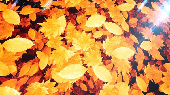 Autumn Leaves alt