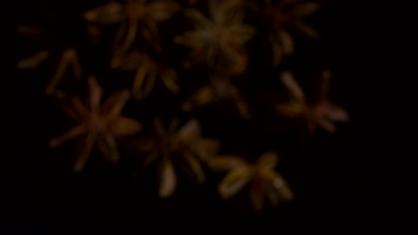 Star Anise on Dark Background