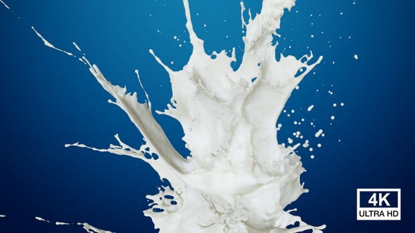 Milk Splash 4K