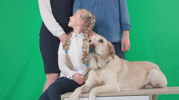 Portrait of Smiling Female Child with Labrador Dog and Parents on Green Chrome Key Background