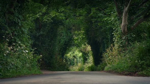 Ground Level View Of Road Through Summer Countryside