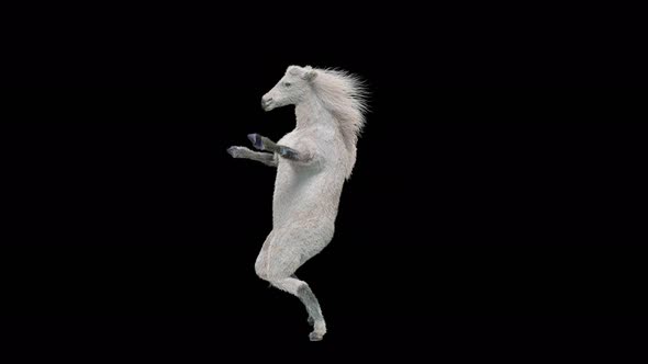 57 White Horse Dancing 4K alt