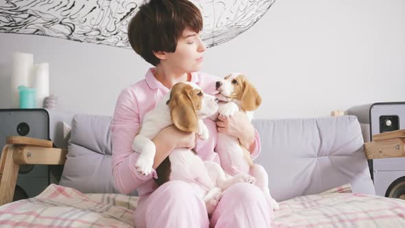 Happy Young Caucasian Female Sitting on Sofa in Pink Pyjamas and Holding in Arms Two Beagle Puppies