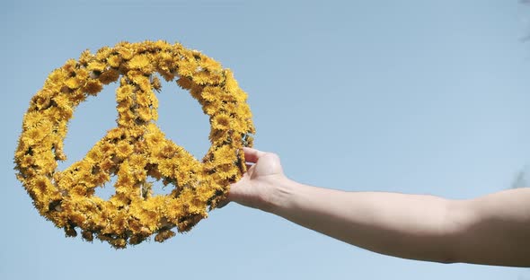 A man holds in his hand A great symbol of peace made of yellow flowers on a background of blue sky