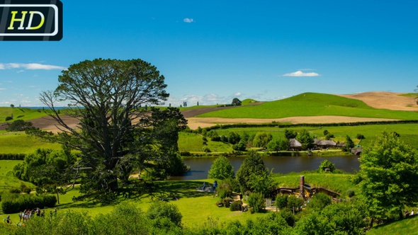 Park and Hills of New Zealand