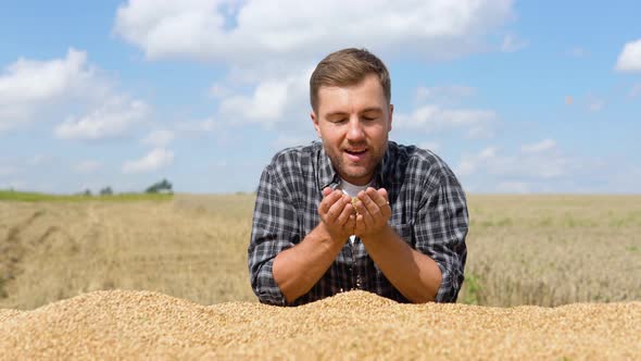 Farmer Holding Grains of Wheat in Hands