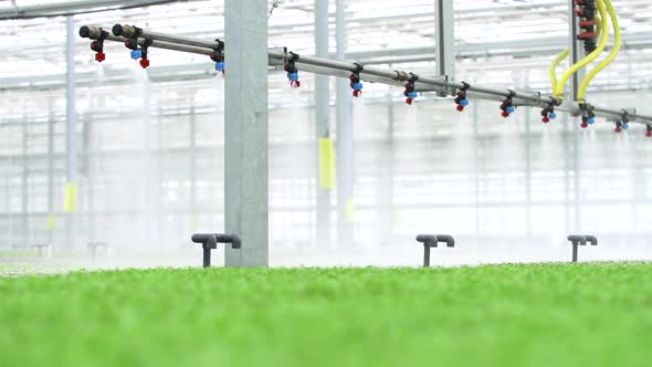 Farm Greenhouse Shot of Equipment Moves Over Plantation with Green Plants and Sprays Indoors Spbd