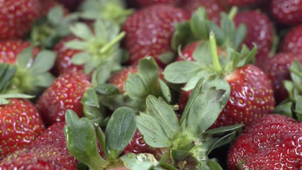 Close Up And Detailed Shot Pile Of Fresh Strawberry