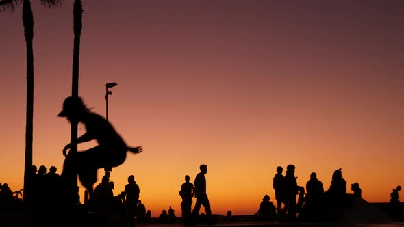 Silhouette of Young Jumping Skateboarder Riding Longboard, Summer Sunset Background. Venice Ocean