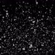 Snow With Snowflakes Visible - VideoHive Item for Sale