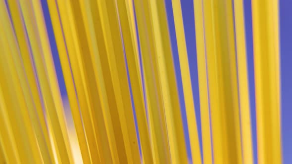 Close Up Background of Spaghetti Pasta