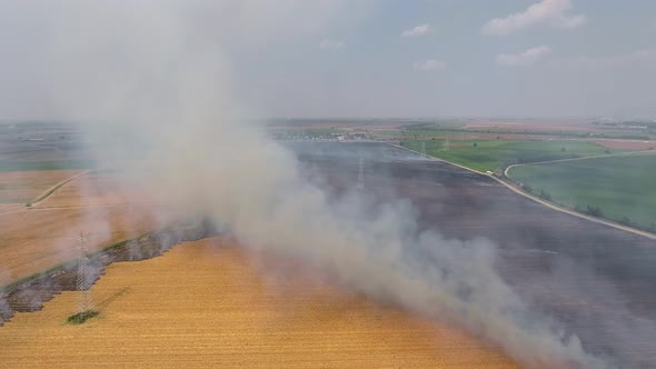 Burning Stubble Fire