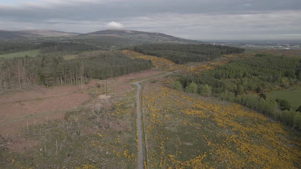 Walking Trail Inside The Carrickgollogan Park Under Cloudy Weather In Ireland. aerial