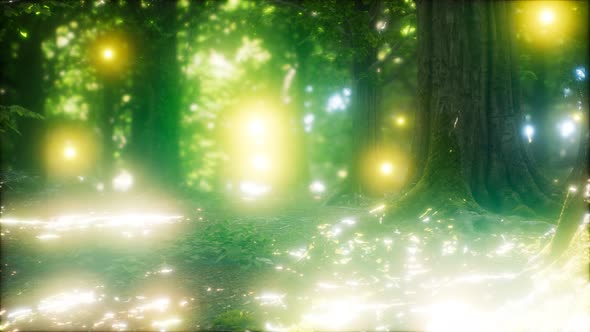 Firefly Flying in the Forest