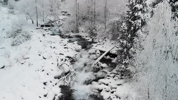 River in the Winter Snow Forest in the Mountains