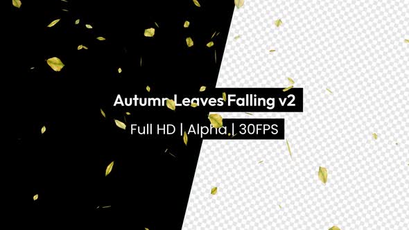 Autumn Leaf Leaves Falling with Alpha v2