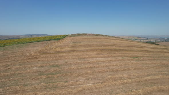 Aerial Harvested Wheat Field