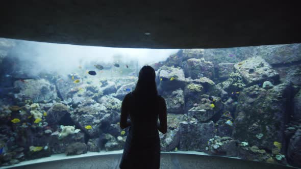 Woman Walking Towards Large Fish Tank in Dubai Aquarium