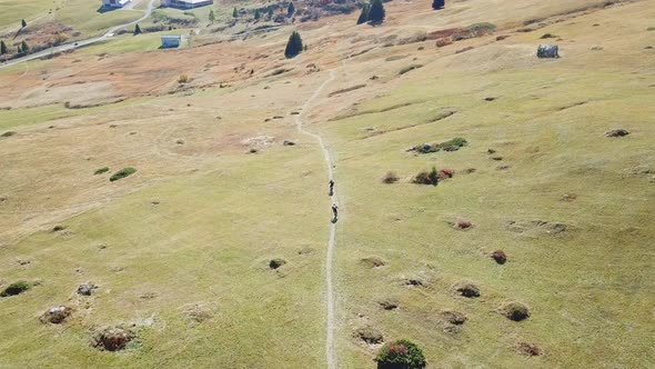 Aerial drone view of a mountain biker on a singletrack trail