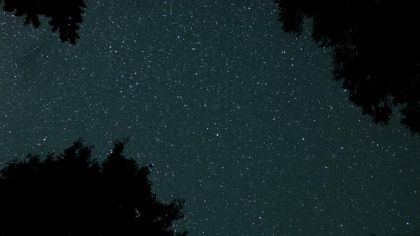 Starry Sky Through Frame Of Tree Branches