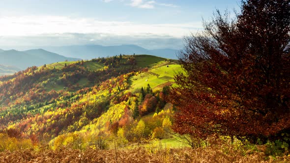 Wonderful Autumn Landscape with Beautiful Blue Sky and Majestic Clouds Forest Sunset Beautiful Fall