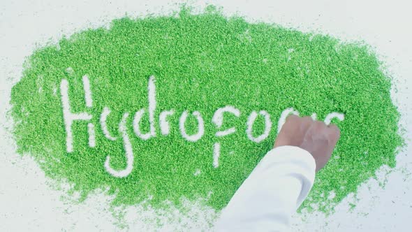 Green Hand Writing   Hydroponics 