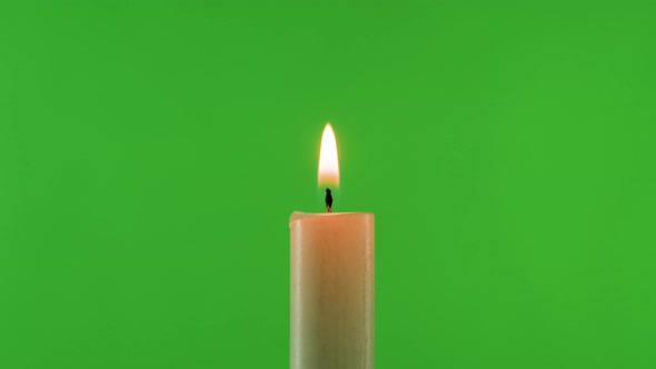 Burning Wax Candle on Green Chroma Key Background