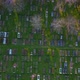 Drone Bird Eye View of Historic London Cemetery Amongst Trees at Sunset - VideoHive Item for Sale
