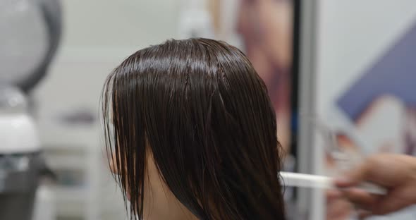 Asian Woman with Moisture Hair Treatment in Beauty Salon