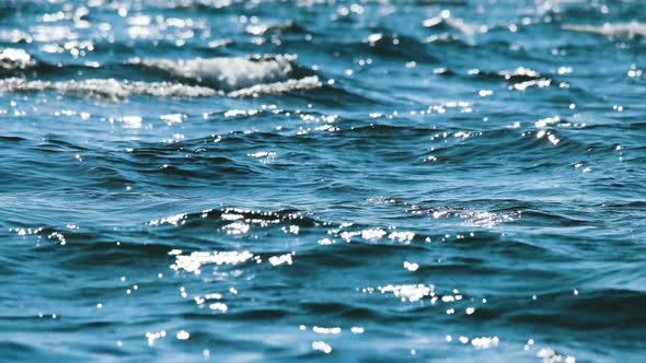 Sea