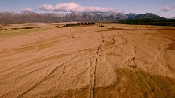 Fields of New Zealand