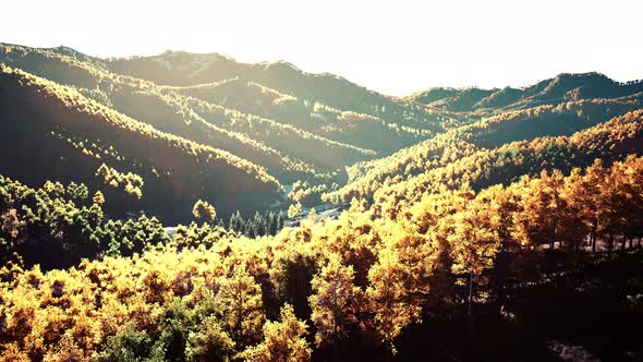 Aerial Drone View of a Mountain Forest with Colorful Autumn Trees alt