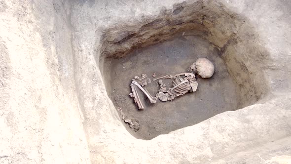 Archaeological excavations. Human remains, bones of skeleton and skulls